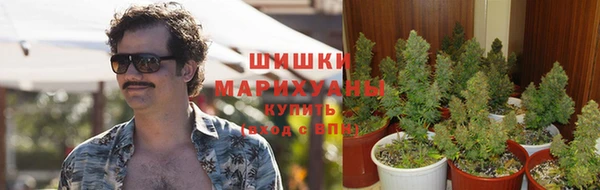 МДПВ Володарск