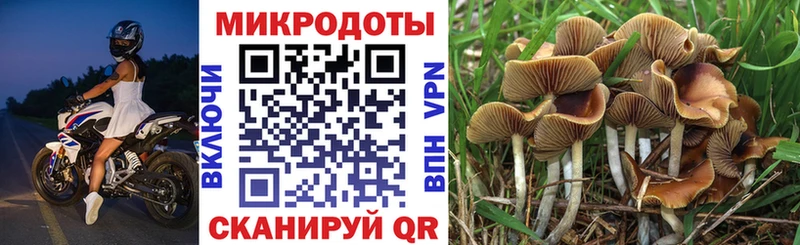 купить  цена  Ессентукская  Галлюциногенные грибы мухоморы 